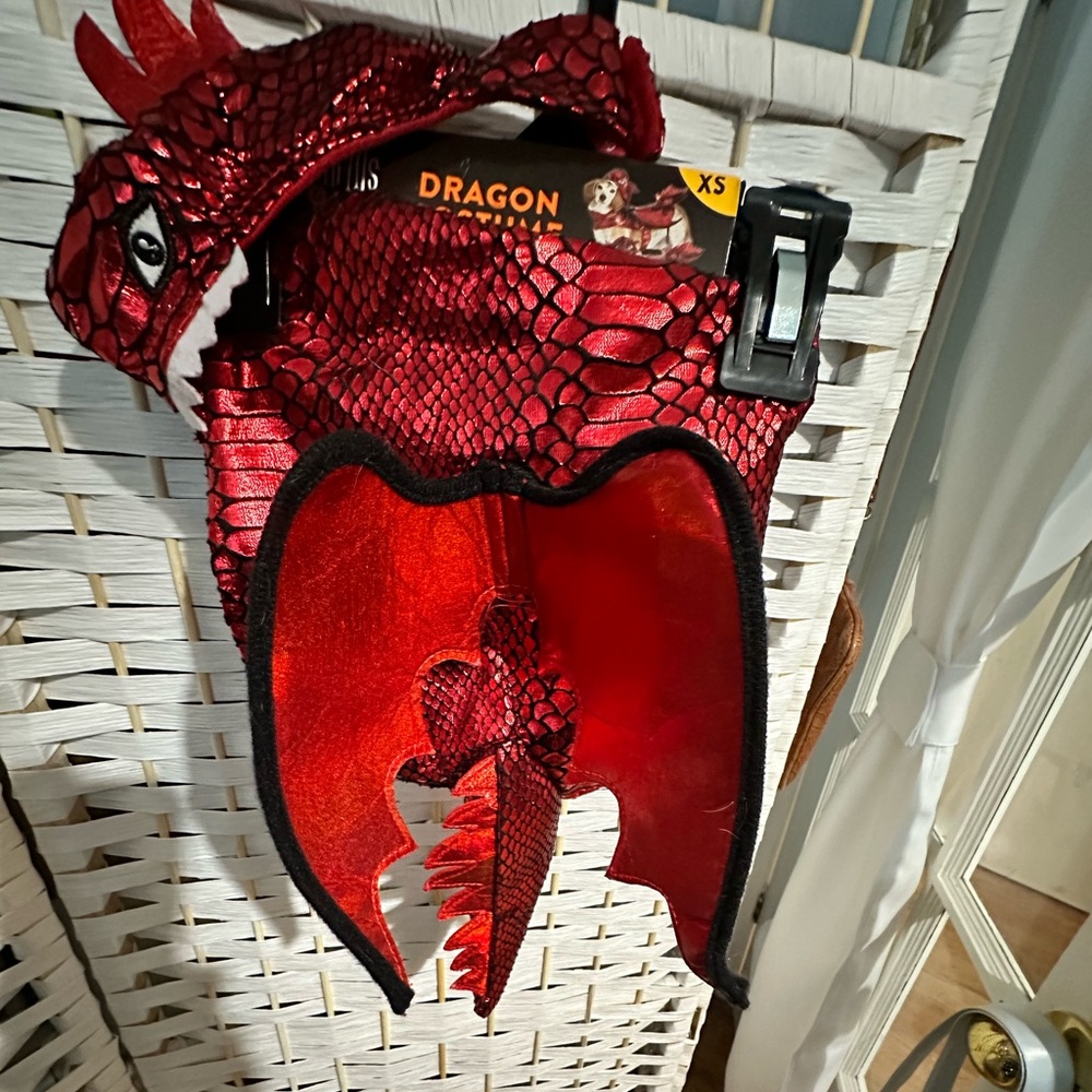 Dog dragon costume